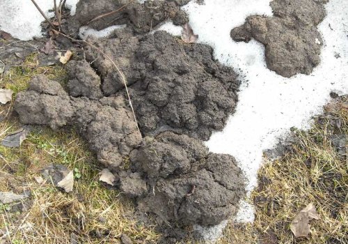 Морозное пучение почвы: как не ошибиться с фундаментом